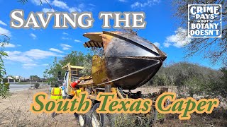 Saving A Rare Texas Tree From Development