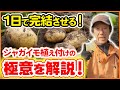 1日で完結させる！？ジャガイモ植え付けの極意を解説！ウネ・種芋作り・肥料入れ・植え付け・管理まで全て解説！【家庭菜園】【育て方】【馬鈴薯】