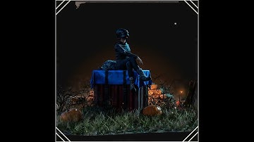 Alan Walker Whatsapp Status | On My Way | Battleground Mobile India