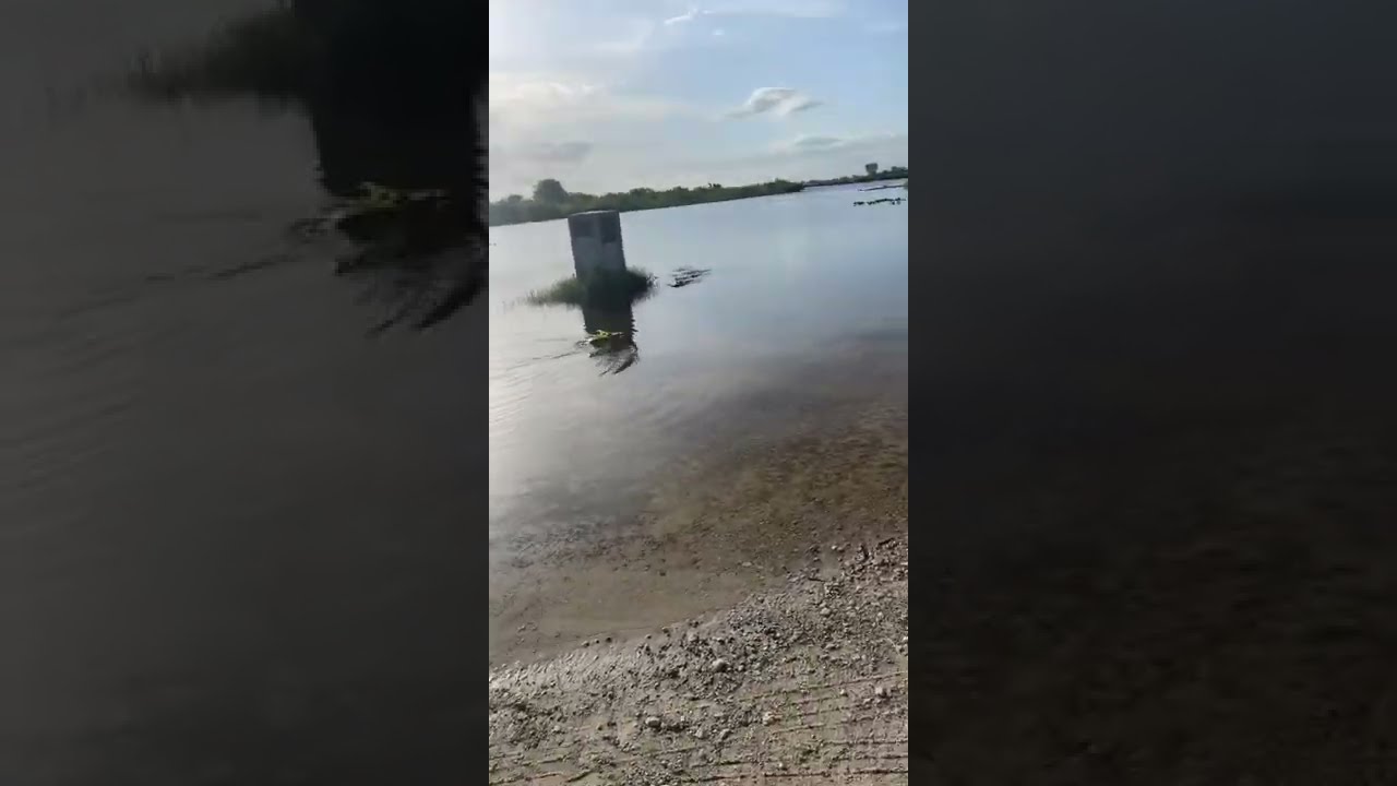 Alligator Attacks RC Boat In Florida Everglades ViralHog