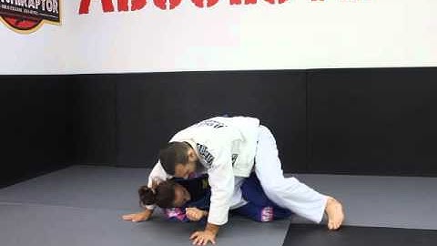 Blue 2nd stripe: Backstep pass from half guard