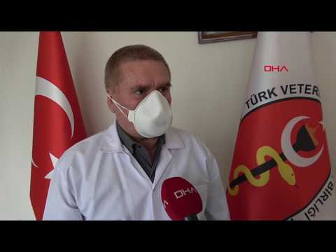 Adana Veteriner Hekimler Odası: Bilim kurullarında daha çok veteriner hekim olmalı