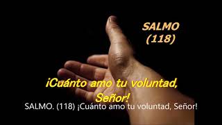 Video thumbnail of "Salmo 118 Cuanto amo, tu voluntad, tu voluntad Señor (Bob Hurd)"