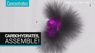 Watch carbohydrates grow into alienlike structures