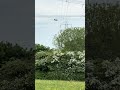 Boeing-CH47 Chinook Passing long Lawford