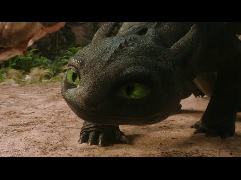 Dragon Trainer |