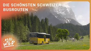 XXLDoku: Mit dem Postauto durch die Schweiz | Real Wild Deutschland