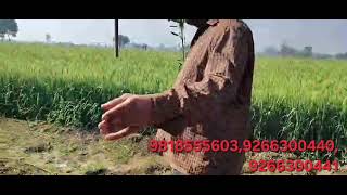 एप्पल ऑर्चर्ड्स ओडब्ल्यूडीसी, कवच, gaada गौमुत्रा डीकेसी: उपयोग करके आकस्मिक परिणाम Apple  best