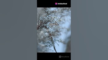 Master Blending & Soft Transitions #blendingcolors #colorblending #colortransition