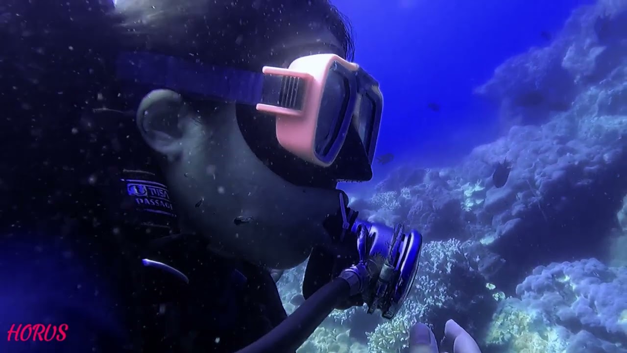 Scuba Diving in Taal Lake: Discovering Batangas’ Best-Kept Secret