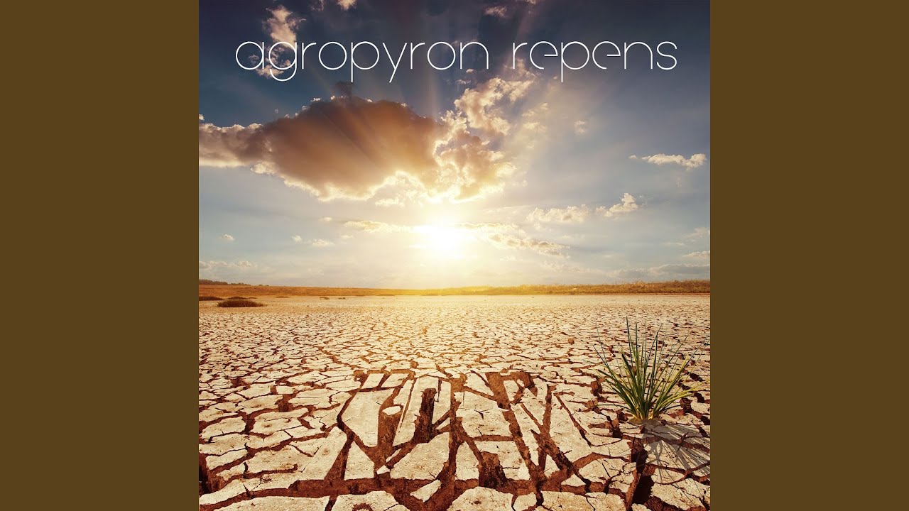 Compromise adlı videoyu YouTube'da izle Compromise adlı videoyu YouTube'da izle