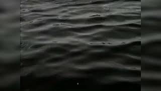 Calm Ambient Music for Relaxation & Study | Quiet River Drift
