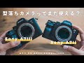 【Sony α7II VS α7III】型落ちカメラってまだ使えるの？【結論：写真だけならα7IIでも十分】