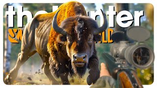 Hunting EVERY ANIMAL in Hirschfelden! (60 min challenge) | theHunter: Call of the Wild