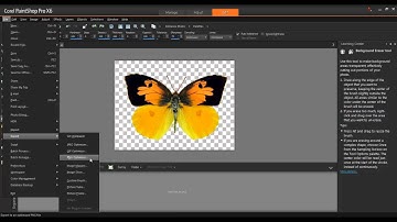 Working with Transparency in Corel PaintShop Pro X6