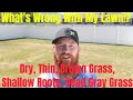 DIY How to fix dry thin lawn, brown lawn, shallow roots, sticky thatch, gray grass.
