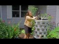 Kristi on Summer Vegetable Planting with your Garden Tower