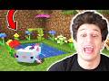 MİNECRAFT : AXOLOTL EVCİLLEŞTİRDİM