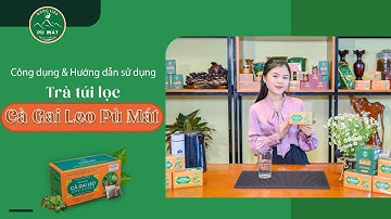 Hướng dẫn sử dụng trà túi lọc Cà gai leo Pù Mát