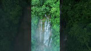 natur 🍃🕊️#nature #naturvideo #naturephotography #4k #ytshorts #money #music #viral #success #shorts