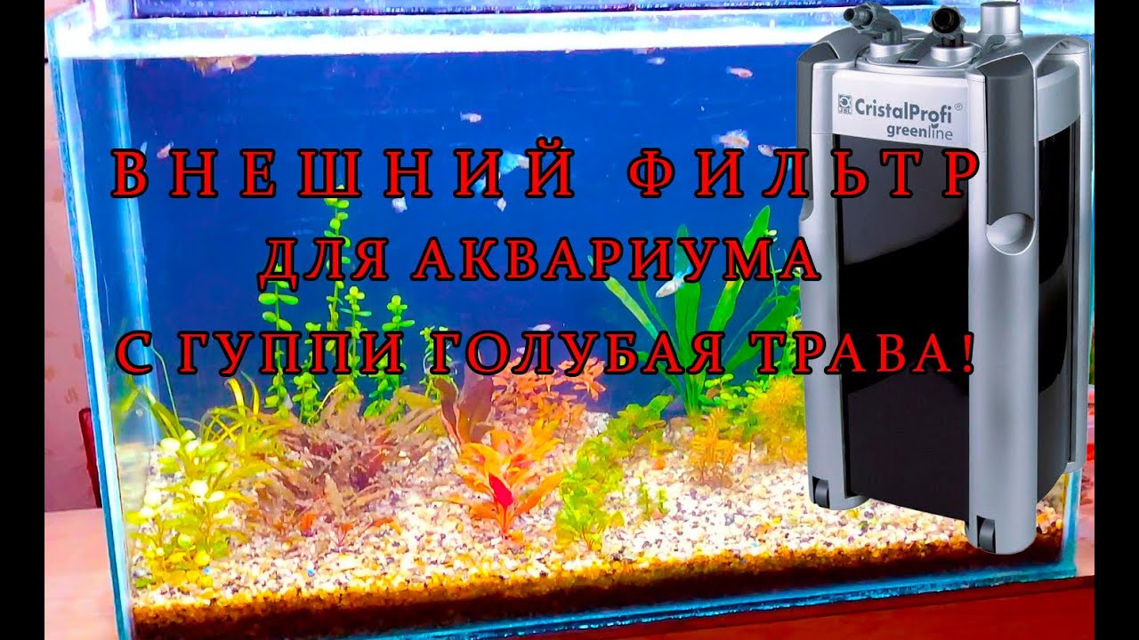 Устанавливаю внешний фильтр в аквариум с Гуппи Голубая Трава "Blue grass Guppy"