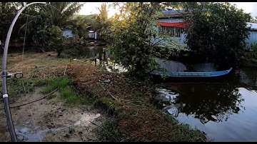 Câu cá lóc mùa nước cạn và món cá lóc nướng (Fishing snakehead)!!