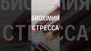 🧬 Биохимия стресса — то, о чём редко говорят.