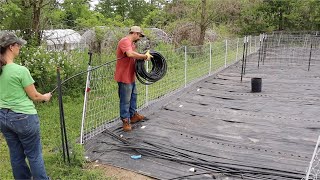 NEVER use a Garden SPRINKLER Again!!! Installing Drip Irrigation!