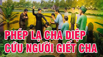 Những Chi Tiết Ly Kỳ Xảy Ra Sau Cái Chết Của Cha Phanxicô Trương Bưu Diệp