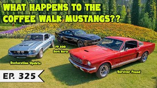What Happens to the Coffee Walk Mustangs??
Thank you Helix for sponsoring!
Visit https://helixsleep.com/denniscollins to get 20% off your Helix mattress.
Offers subject to change. #helixsleep
Welcome to Coffee Walk Episode 325!!!
As always… GO FAST, HAVE FUN & HAVE A GREAT WEEKEND!!
#denniscollinscarworld #coffeewalk #denniscollins
Looking to sell your 1991 or newer vehicle, but its not a Jeep or a Classic Car? Head on over to https://www.givemethevin.com/collins-bros and get your cash offer TODAY! Using our link will add $500 to the offer on your vehicle. Its as simple as entering your cars VIN or license plate number. Youll get an offer in minutes that is always well above any dealer quote and is guaranteed to beat a CarMax offer, or theyll send you a check for $100.
COFFEE WALK MERCH:
USA: https://collinsbrosjeep.com/coffee-walk/
International Shipping: https://www.ebay.com/str/collinsbrosjeepaccessories/Coffee-Walk/_i.html?store_cat=37748363018
COLLINS BROS MERCH
USA: https://collinsbrosjeep.com/collins-bros/
International Shipping: https://www.ebay.com/str/collinsbrosjeepaccessories
THE OUTSTANDING BLEND X BLUE ISLAND COFFEE:
Worldwide Shipping: https://www.loveblueisland.com/products/outstanding-blend-for-dennis-collins
THE HOLY GRAIL BLEND x BLUE ISLAND COFFEE:
Worldwide Shipping: https://www.loveblueisland.com/products/the-holy-grail-blend
COFFEE WALK TEAM SOCIALS:
Instagram:
@thedenniscollins
@thekelseycollins
@alexbohling
@zachgorgas
@patterns.media
COLLINS BROS JEEP (Jeep CJ & Wrangler Experts):
Web: https://collinsbrosjeep.com/
Facebook: https://www.facebook.com/CollinsBrosJeep
Instagram: https://www.instagram.com/collinsbrosjeep
Phone: 972-442-6189
Address: 3101 W FM 544 Wylie, TX 75098
Email: Social@CBJeep.com
BLKMTN (Jeep JK & JL Parts, Accessories, Conversions & Upgrades):
Web: https://blkmtnjeep.com/
Facebook: https://www.facebook.com/TheBLKMTN/
Instagram: https://www.instagram.com/theblkmtn/
*All Audio and SFX legally downloaded and licensed from Envato. What Happens to the Coffee Walk Mustangs??