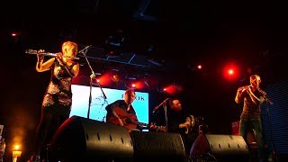 FLOOK - REEL for RUBIK/TOWARD the SUN  (Санкт-Петербург, клуб ZAL, 14.11.2019)