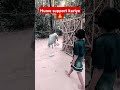 Bhagwan kisi kosur ki di hai ise saja #shorts#help#gareeb ki madad#trending#Raaj Nandini