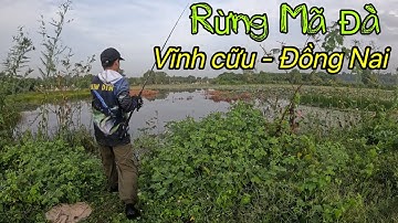 Câu cá lóc tại Rừng Mã Đà - ngày trở lại 