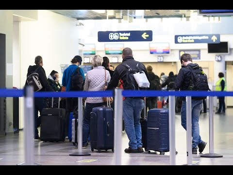Video: Tenesio oro uostų vadovas