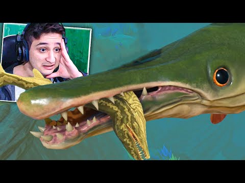 ჭამე და გაიზარდე - ალიგატორი გარ Feed and Grow Fish