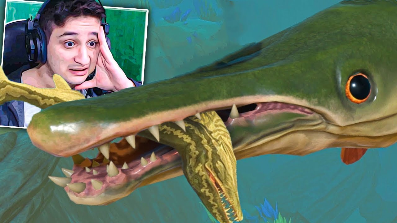 ჭამე და გაიზარდე - ალიგატორი გარ Feed and Grow Fish