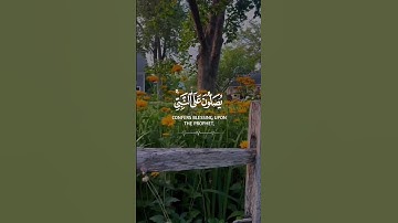 حالات واتس اب يوم الجمعة سورة الكهف / ستوري انستا يوم الجمعة سورة الكهف 🤍