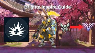 How Does Brigitte's Inspire Work An Inspire Guide