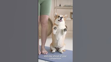 Business Model Innovation: Discovering New Opportunities for Growth