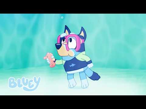 ザ・プール 🤿💙 | ブルーイ - 日本公式チャンネル - Bluey