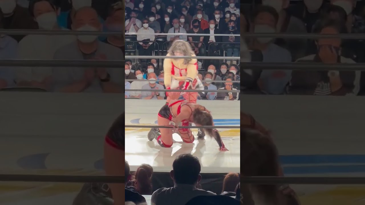 スターダム 女子プロレス ひめか選手 ウインターブランケット 売れ筋がひクリスマスプレゼント！ スターダム 女子プロレス