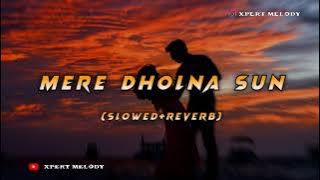 MERE DHOLNA SUN || (SLOWED REVERB) || ARIJIT SINGH || SAMEER || PRITAM || XPERT MELODY