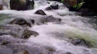 Natural River Flow Ambience For Spa Relaxation & Massage Therapy Calmness 4K • River Stream Ambience