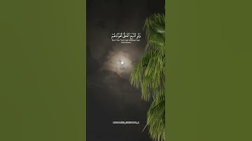 سورة المؤمنون 💚 #سورة_المؤمنون #ياسر_الدوسري #القرآن_الكريم #قرآن #quran #fypシ #viral #fyp #islam