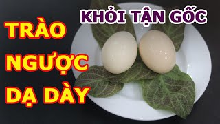 💥Khỏi TẬN GỐC Trào Ngược Dạ Dày với Trứng, Lá Mơ Cách Quá Hay Này l Sức Khoẻ Việt 247