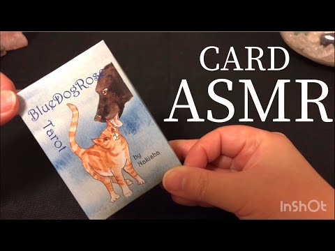 【ASMR】No.11 ? ブルードッグローズタロット ? 音フェチ 睡眠 / Tarot Oracle Card reading / Relaxing Tapping