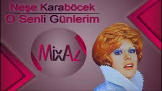 Neşe Karaböcek - O Senli Günlerim 1991