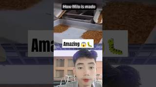 How milo is made #shorts #shortvideo #amazing #milo #youtube