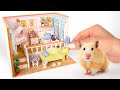 Building A Cozy Music Room And Inviting A Hamster In!