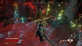 Gilded Hunter Level 1 NG+6 No Companion